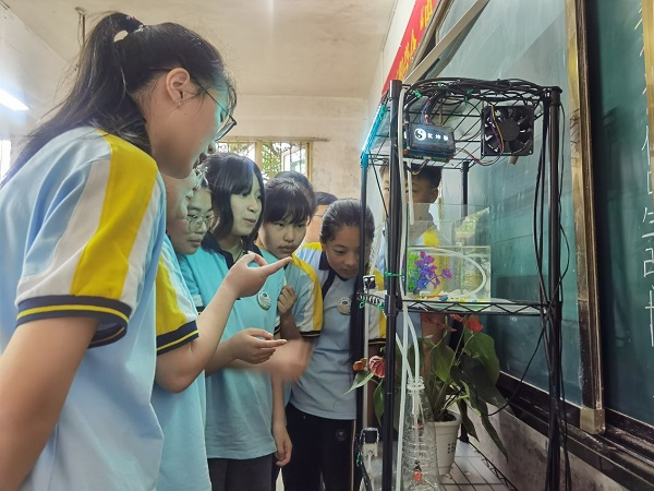 1622823909645043923.jpg 2.jpg