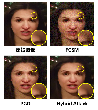 1648713923225018134.png 图片 5.png